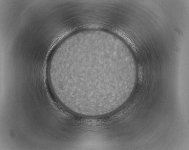 X0000115410486200912151545