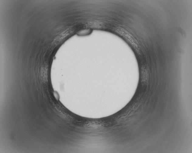 X0000115410489200912151545