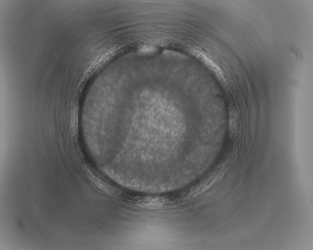 X0000115410493200912151545