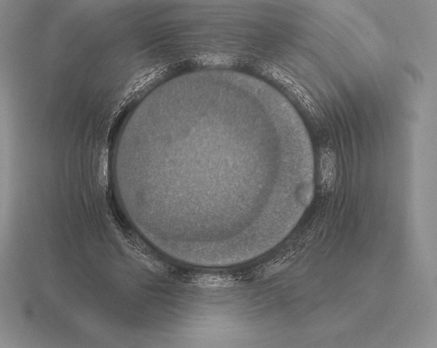 X0000115410494200912151545