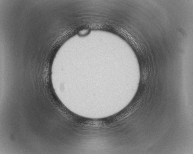 X0000115410497200912151544