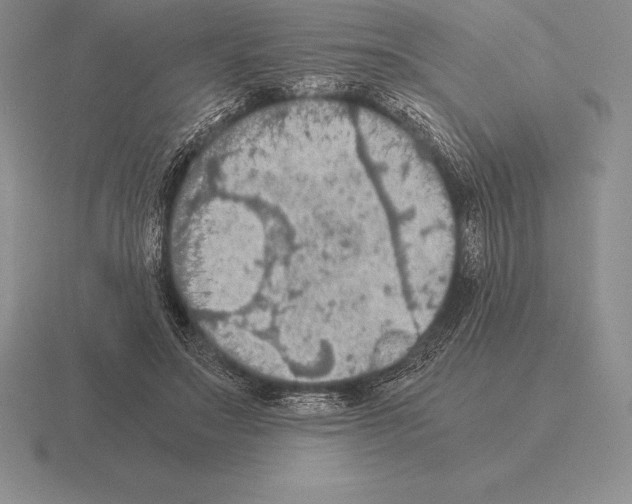 X0000115410499200912151544