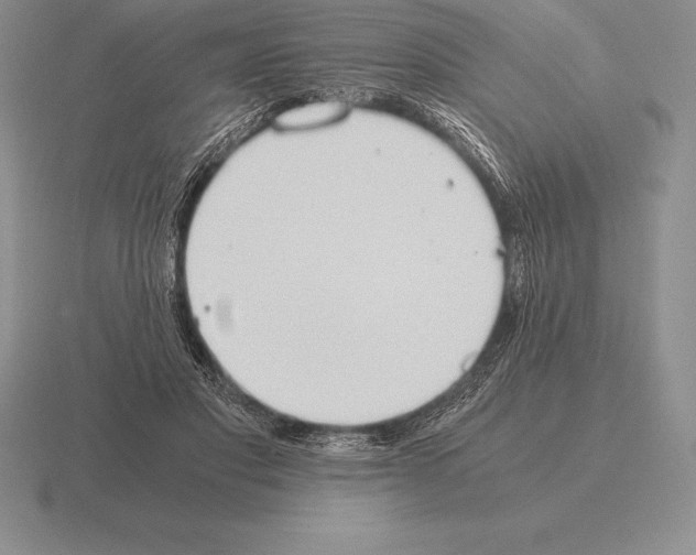 X0000115410501200912151544