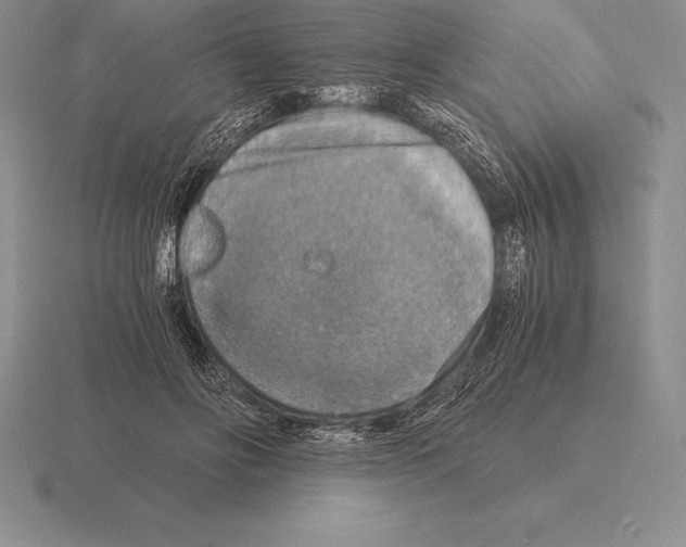 X0000115410502200912151544