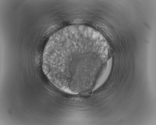 X0000115410503200912151544