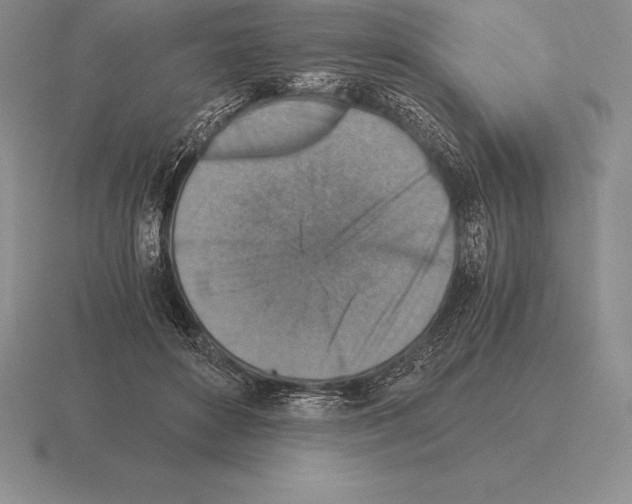 X0000115410504200912151544