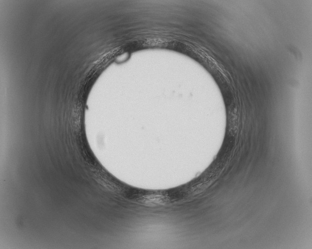 X0000115410505200912151544