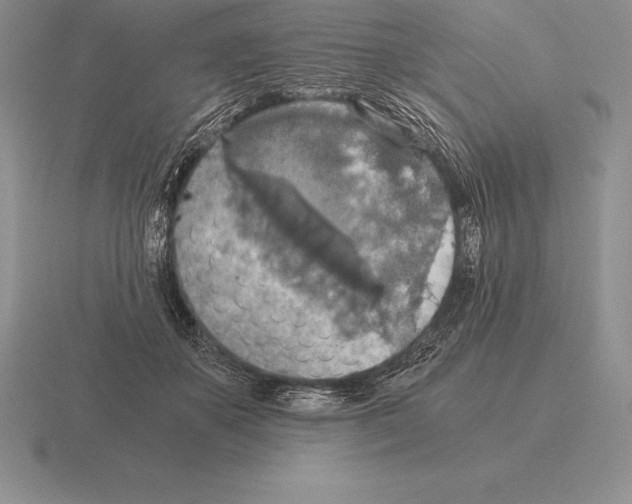 X0000115410507200912151544