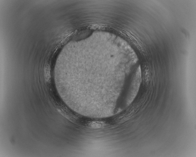 X0000115410508200912151544