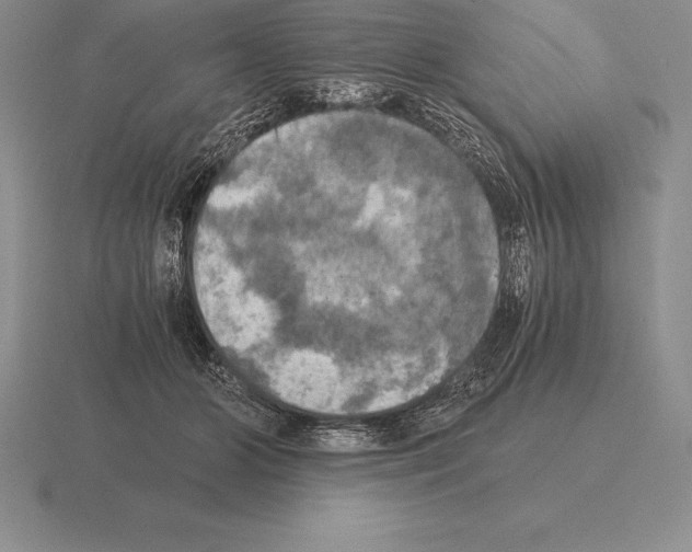 X0000115410510200912151544