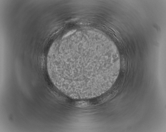 X0000115410511200912151544