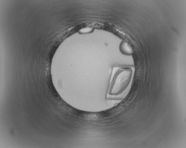 X0000115410513200912151544