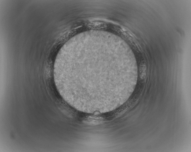 X0000115410515200912151544