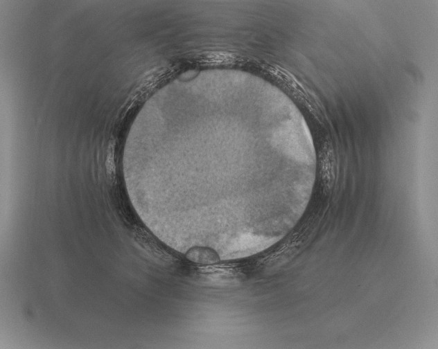 X0000115410516200912151544