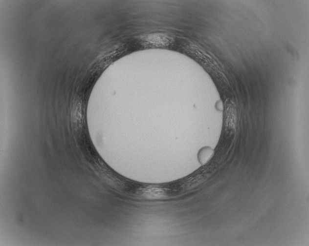 X0000115410518200912151544