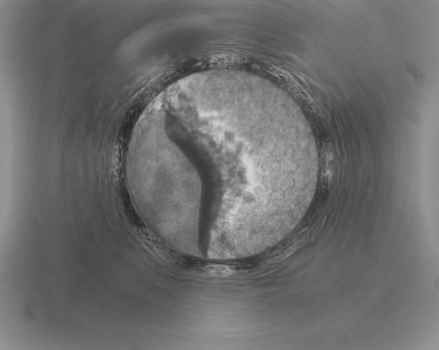 X0000115410519200912151544