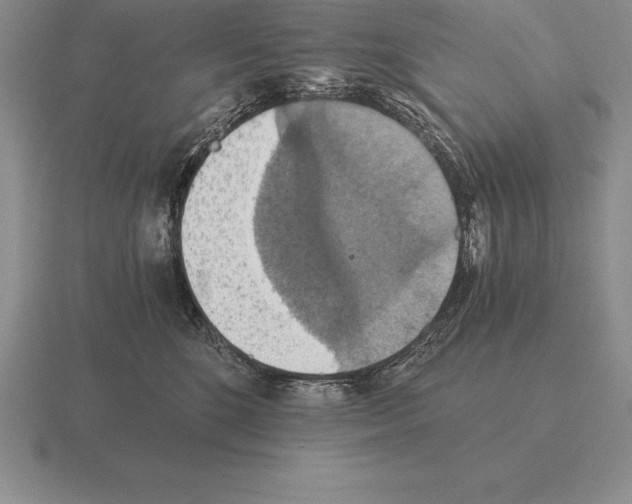 X0000115410520200912151544