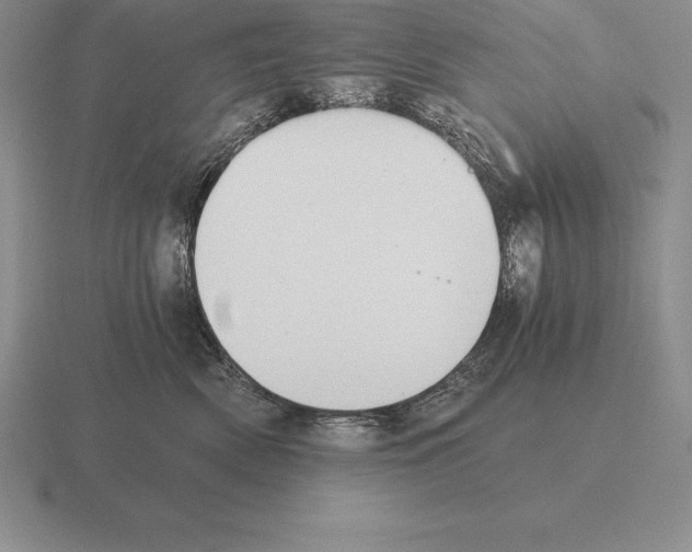 X0000115410522200912151544