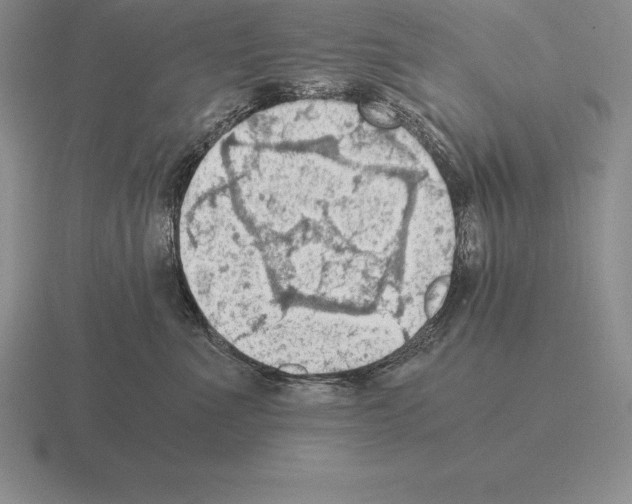 X0000115410523200912151544