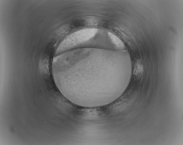 X0000115410524200912151544