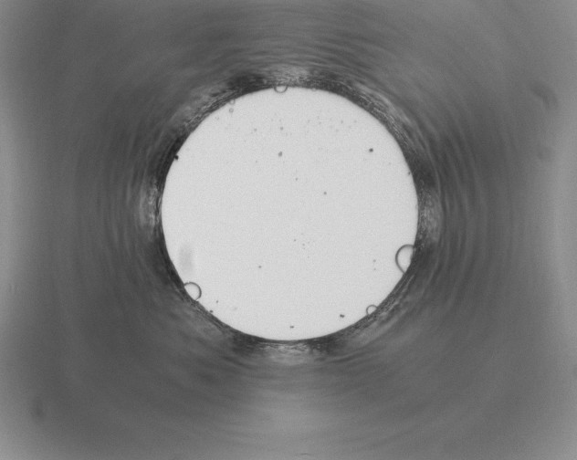 X0000115410525200912151544