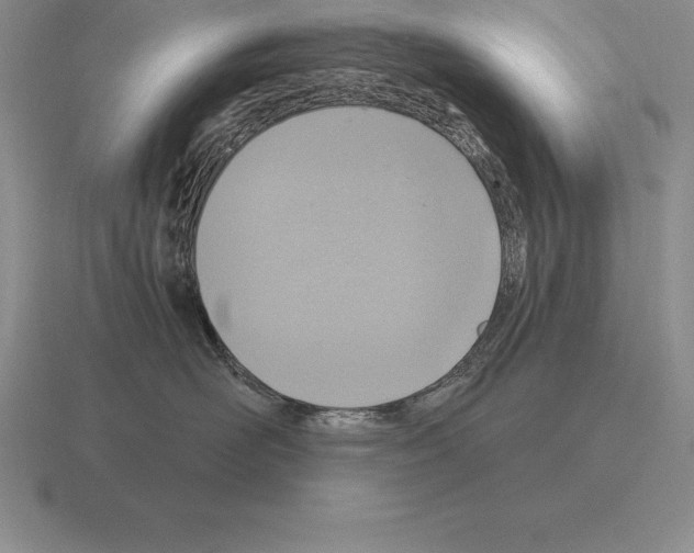 X0000115410526200912151544