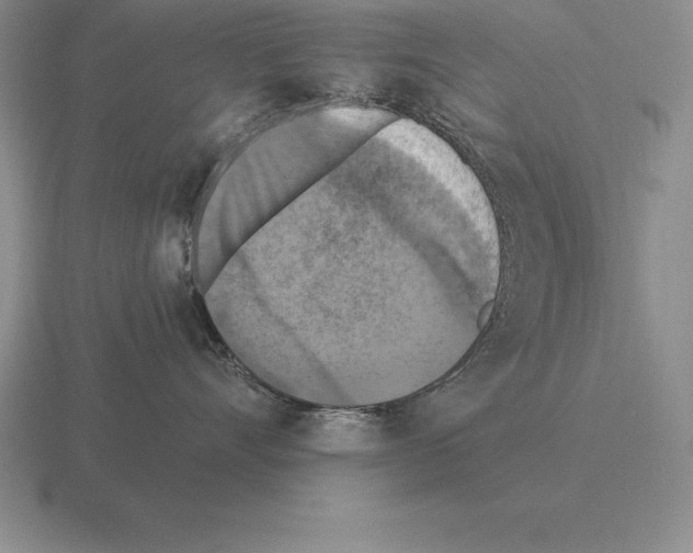 X0000115410528200912151544