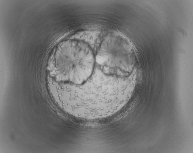 X0000115410529200912151543