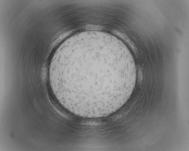 X0000115410533200912151544