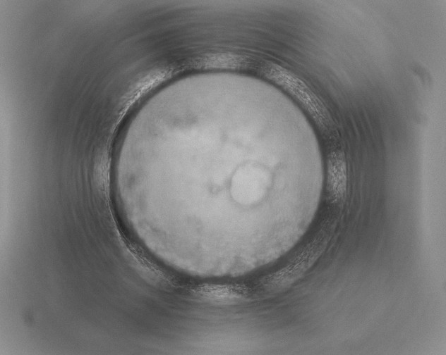 X0000115410534200912151544