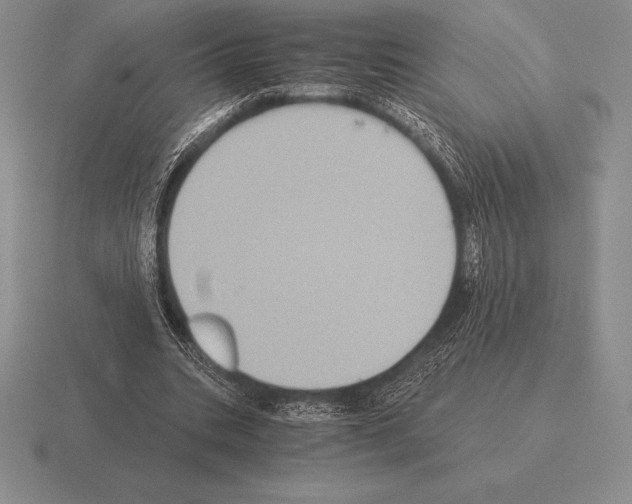 X0000115410535200912151544