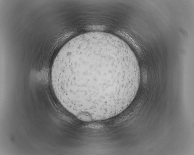 X0000115410537200912151544