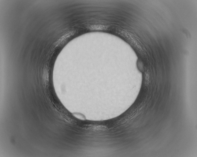 X0000115410539200912151544