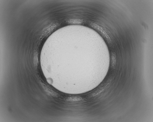 X0000115410541200912151544