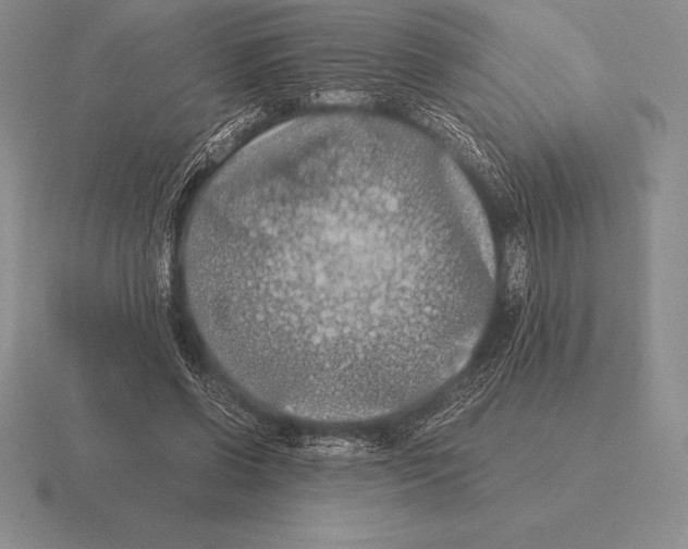 X0000115410542200912151544