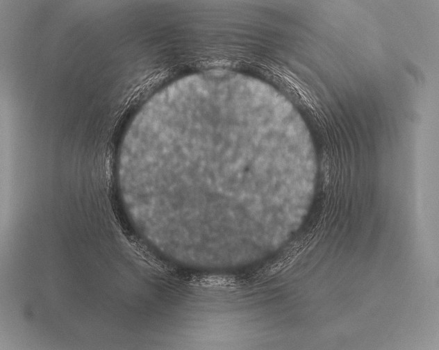 X0000115410546200912151544