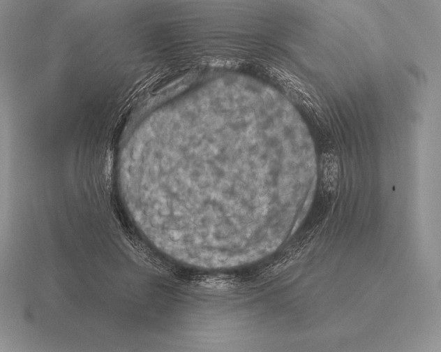 X0000115410550200912151544