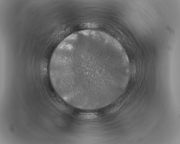 X0000115410553200912151544