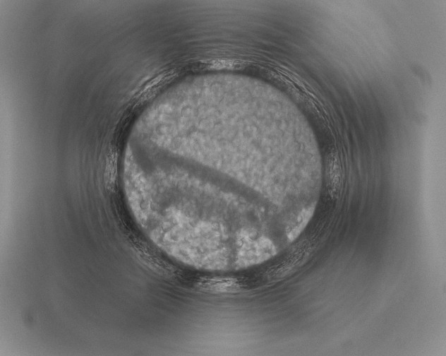 X0000115410554200912151544