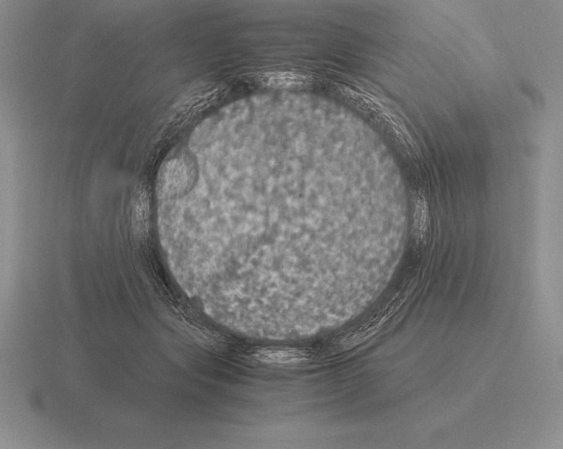 X0000115410557200912151544