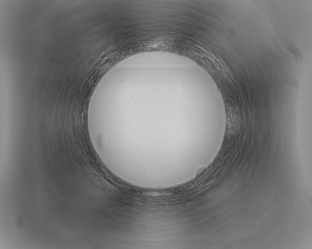 X0000115410558200912151544