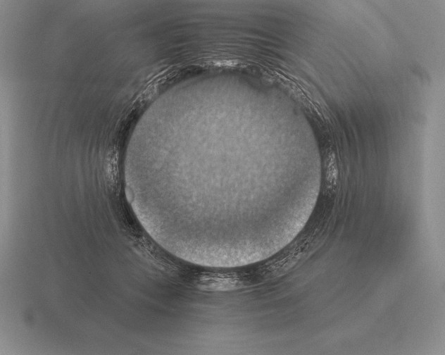 X0000115410559200912151544