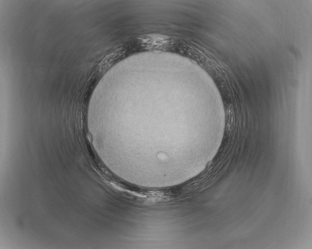 X0000115410562200912151544