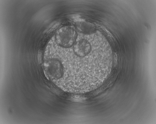 X0000115410565200912151544