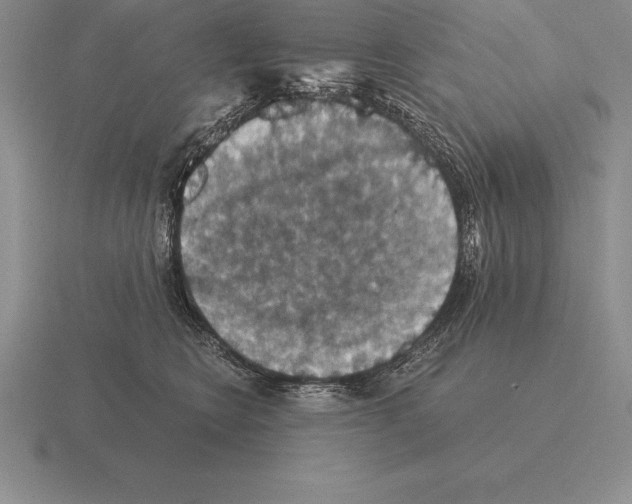 X0000115410566200912151544