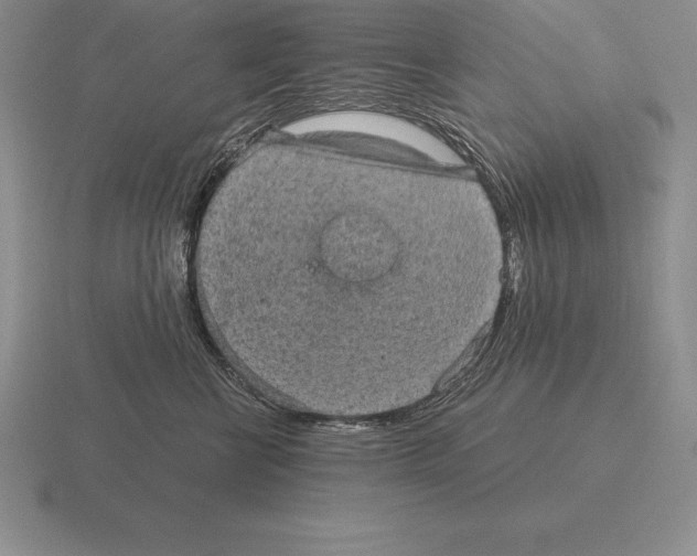 X0000115410570200912151544