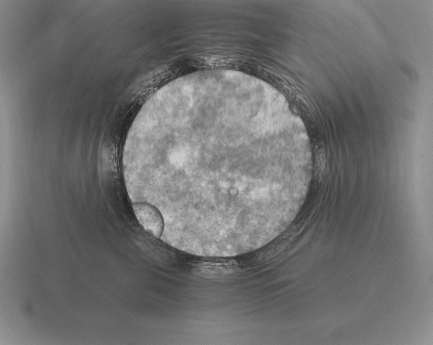 X0000115410571200912151544