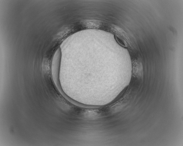 X0000115410573200912151544