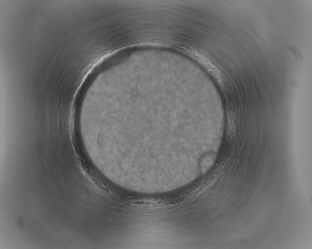 X0000115410580200912151543