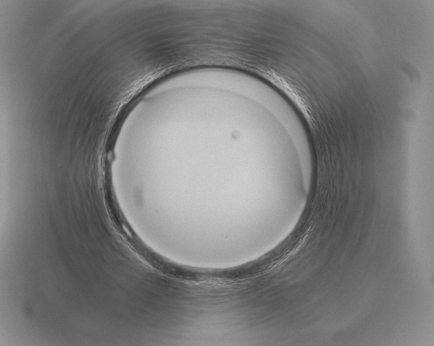 X0000115410581200912151543